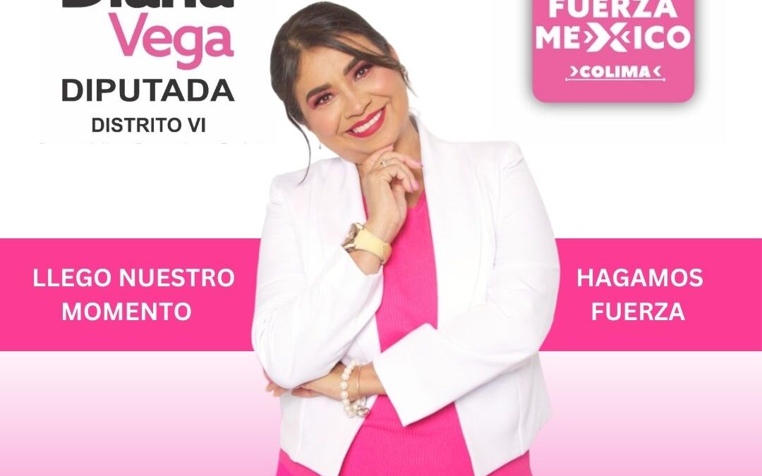 DIANA VEGA DIPUTADA