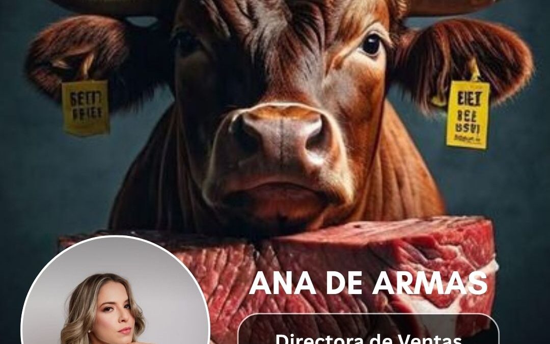 CARNES PREMIUM XO 2211B